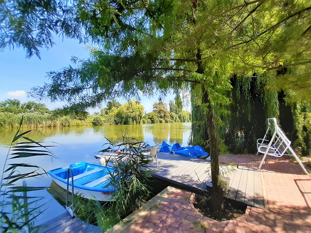 BootsstegmitTrauerweide